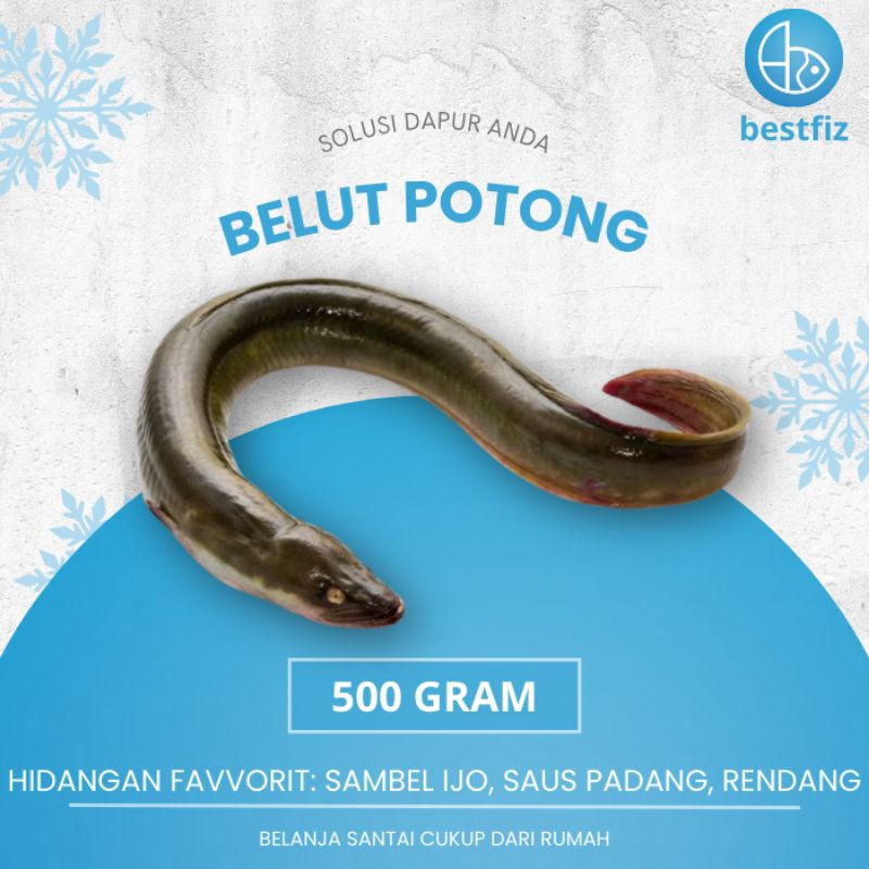 

Belut Potong