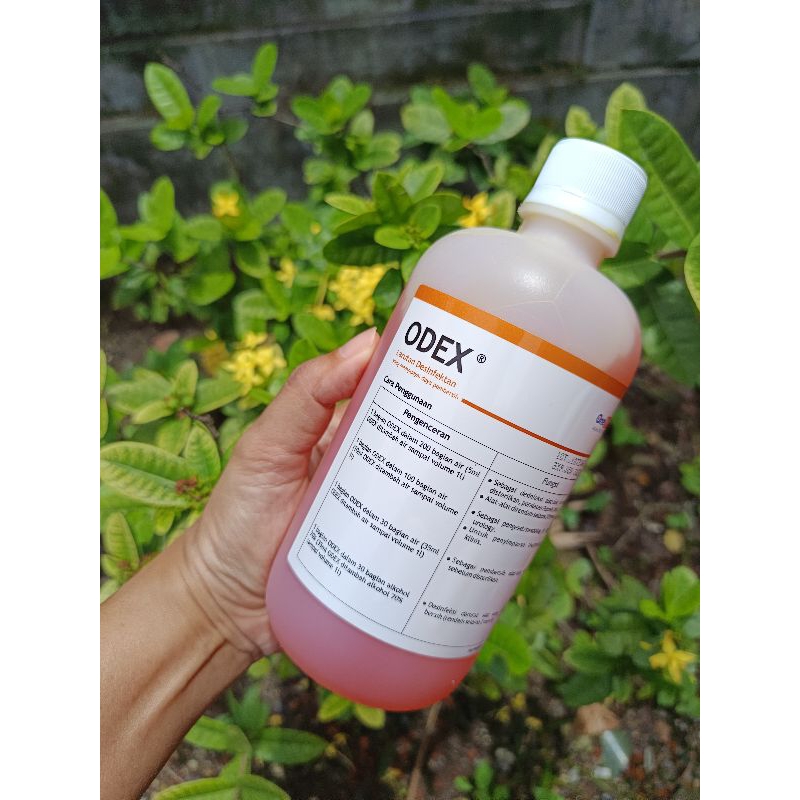 ODEX cairan sterilisasi desinfeksi alat-alat kedokteran