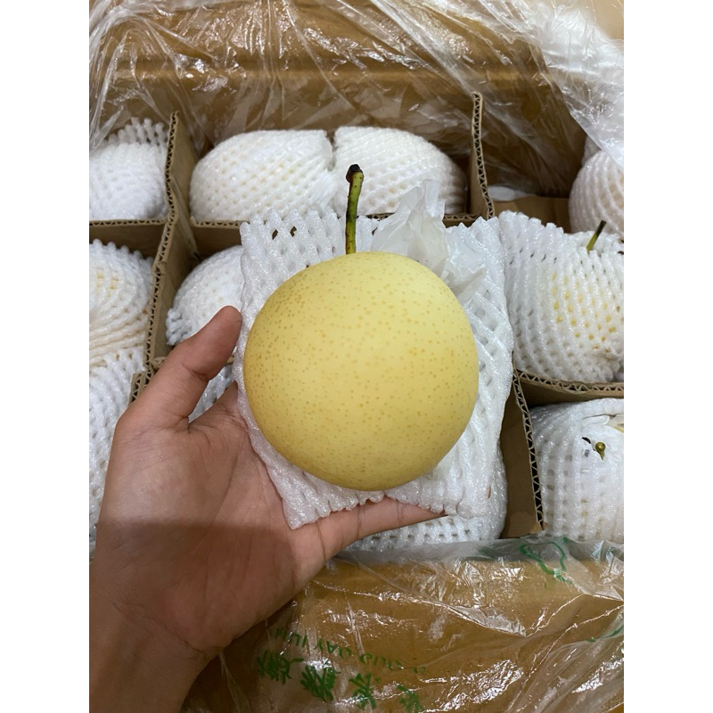 

Pear Crown Century Manis