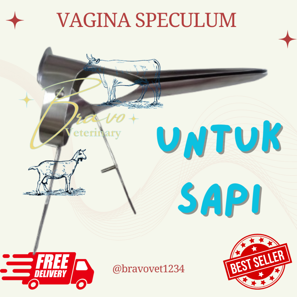 Vagina Speculum Sapi Alat Inseminasi Buatan Untuk Hewan