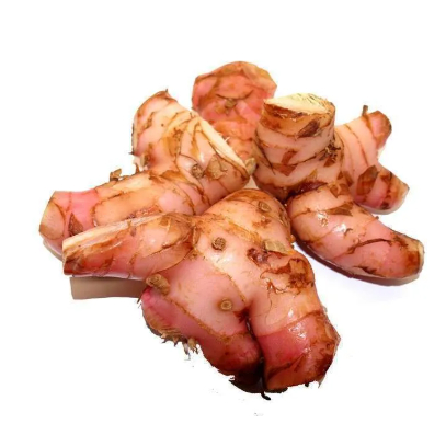 

Lengkuas Lengkoas Laos Bumbu Dapur Rempah Fresh Segar