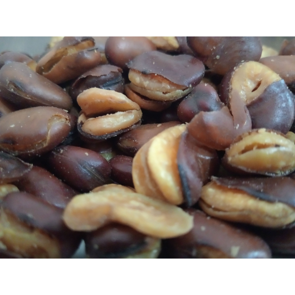

KACANG KORO KULIT