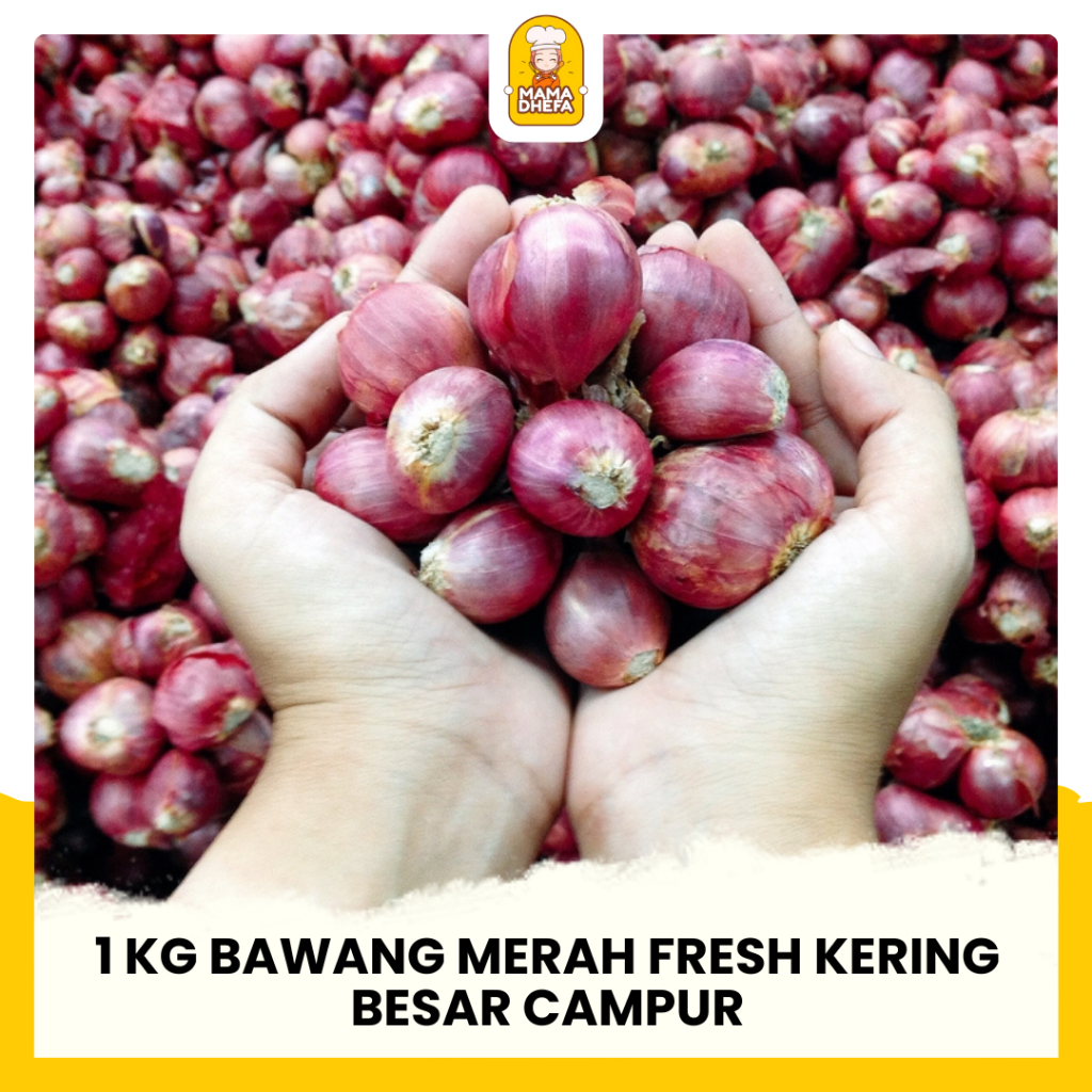 

Bawang Merah 1 Kg Besar Campur Bawang Merah Segar Kering Berkualitas