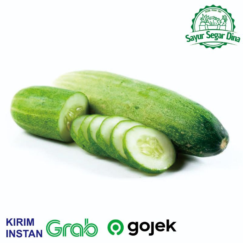 

Timun Lalap Segar - 250 gr