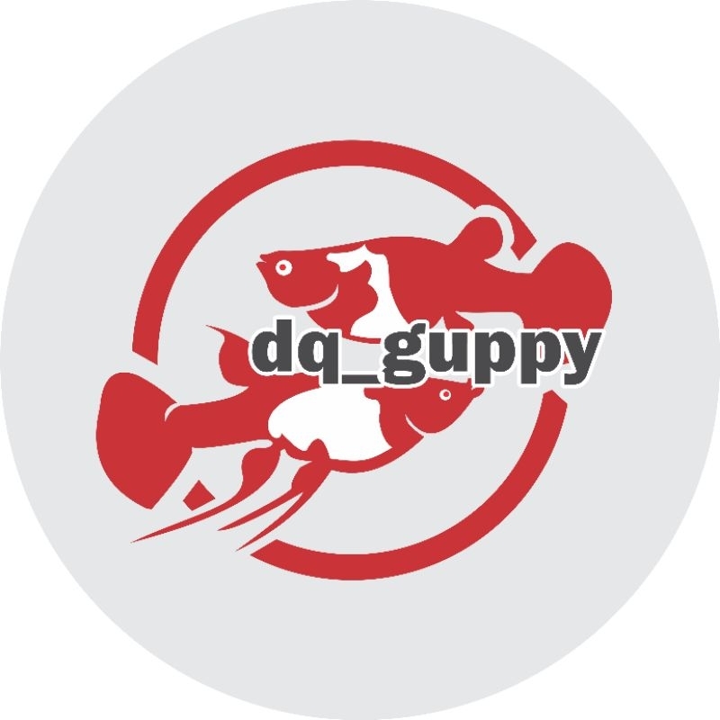 

HIASAN AQUARIUM Albino Koi gen Red Ear