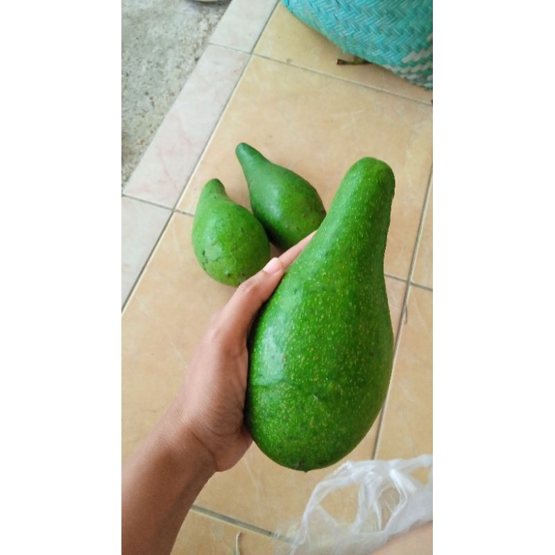 

alpukat mentega