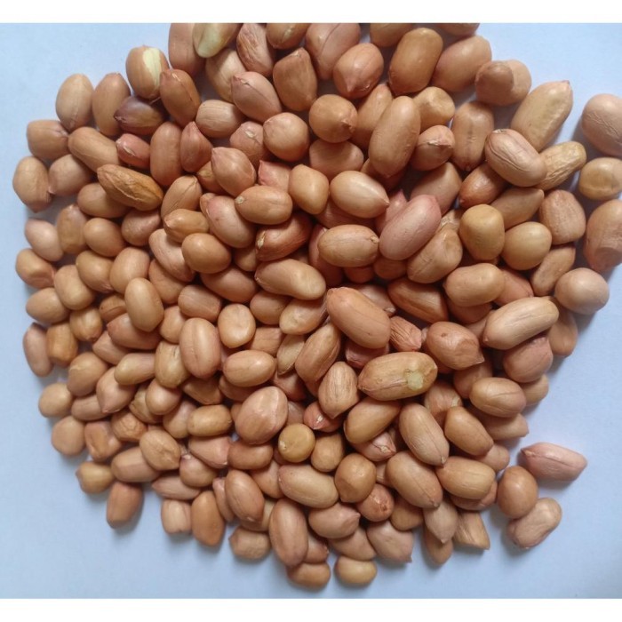 

kacang tanah lokal fresh 1kg