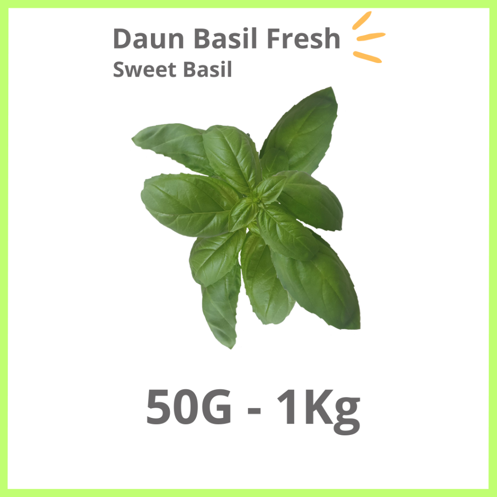 

Daun Basil Fresh 50Gram