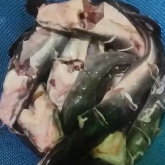 

Ikan Lele Siap Konsumsi/Sudah di bersihkan/Kusus Rengiriman Reguler