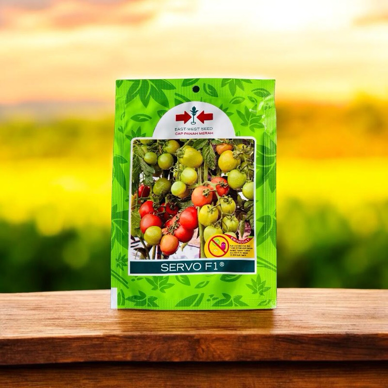 BENIH TOMAT MERAH SERVO F1,BIBIT TOMAT UNGGULAN SERVO F1,CAP PANAH MERAH