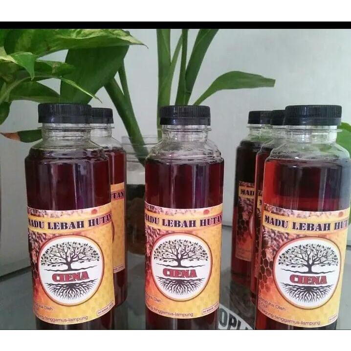 

Ciena Madu Lebah Hutan Asli 500 ml