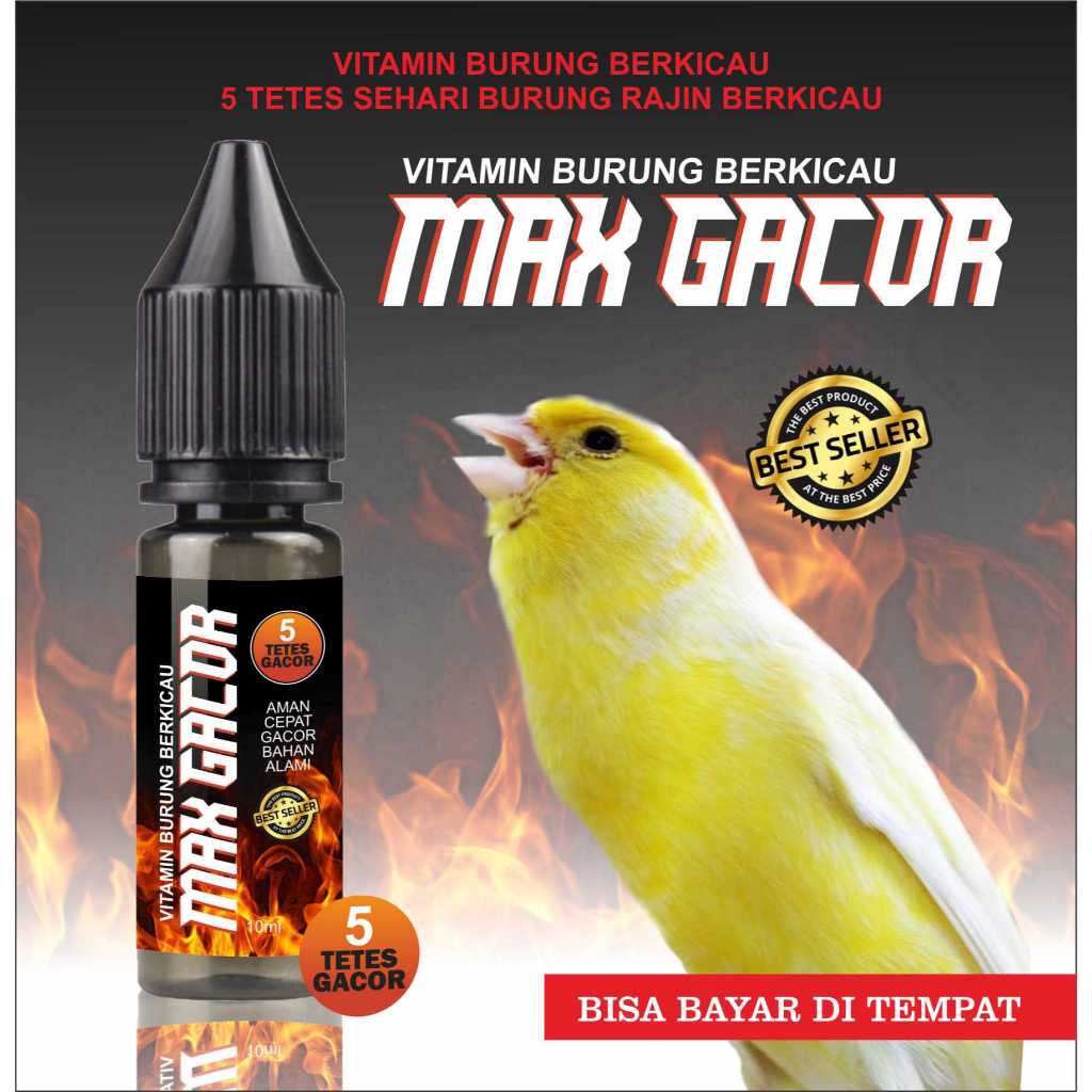 Max Gacor Vitamin Burung Berikau Kenari
