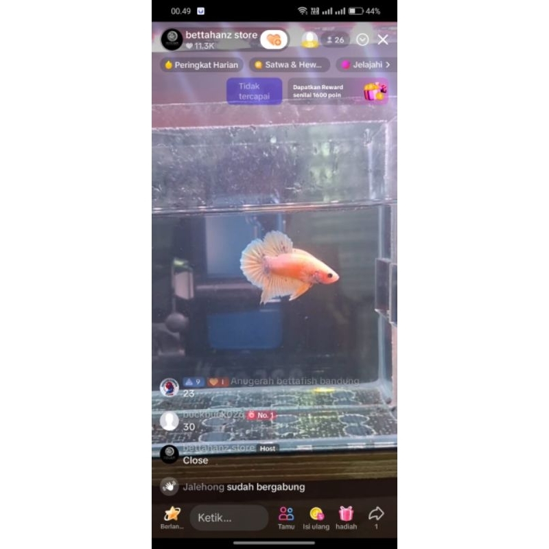 Buck Buck Sultann nih bosssss senggol dong