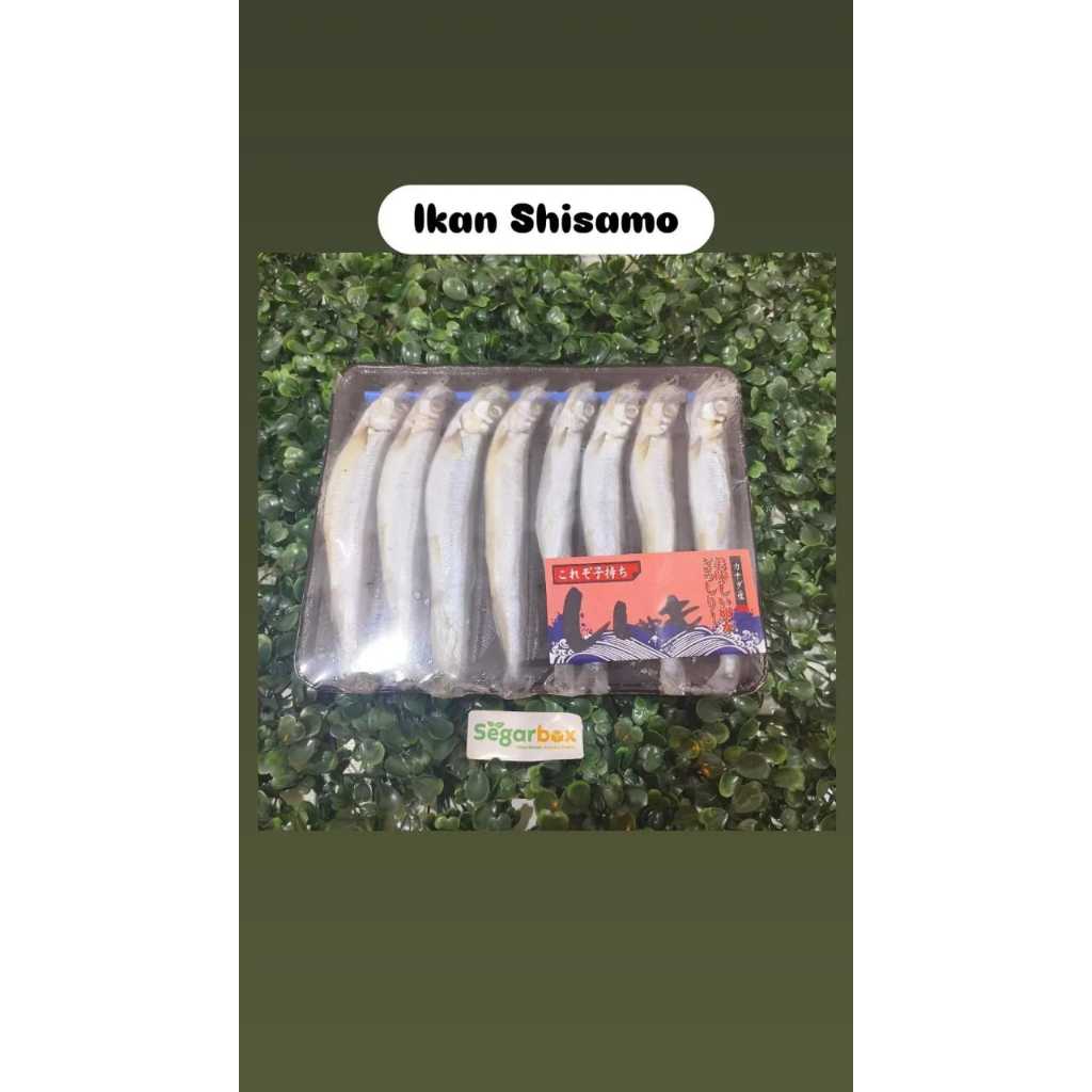 

Ikan Shisamo isi 8 Ekor - Segarbox