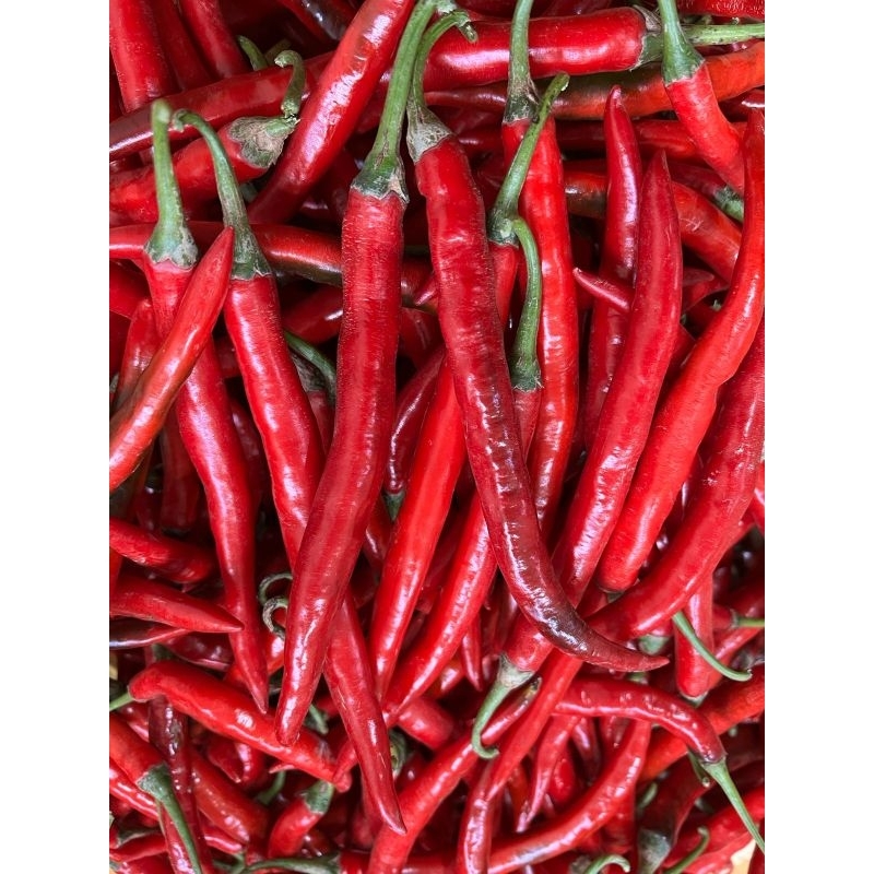 

cabe merah besar 500gr