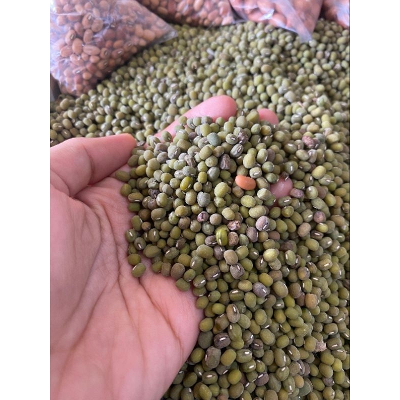 

aneka kacang. kacang hijau, kacang tanah, kacang lotho kacang tunggak