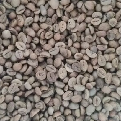 

Greenbean Rpbusta Kerinci Grade 1