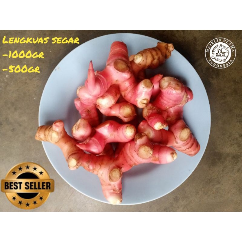 

Lengkuas Laos Segar 1kg
