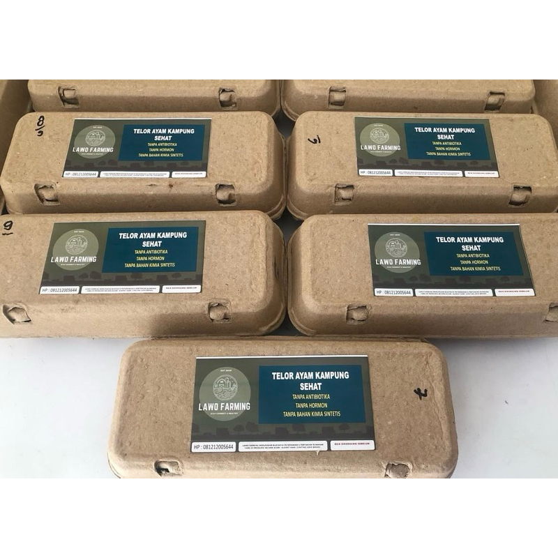 

TELUR AYAM KAMPUNG ALAMI & BERKUALITAS