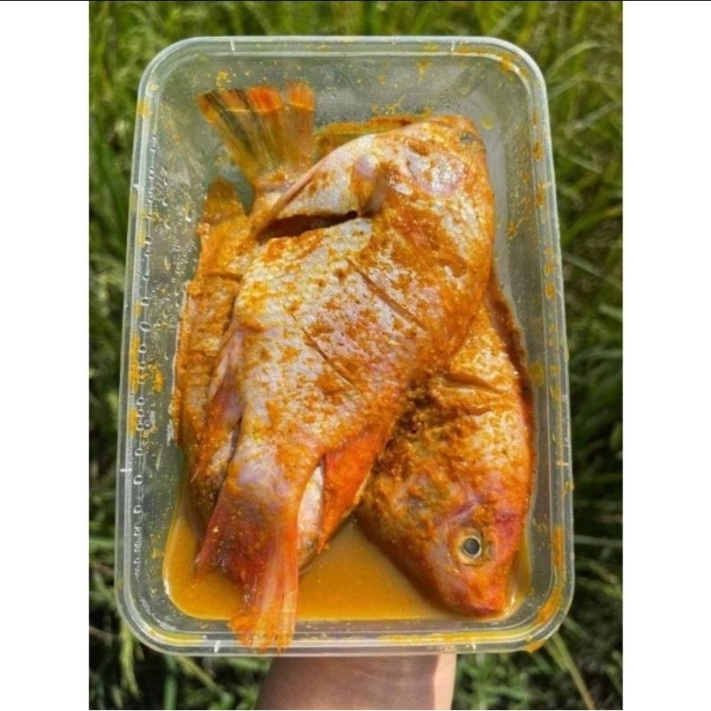 

Ikan Nila bumbu kuning Siap Goreng. 330 gram isi 2 ekor
