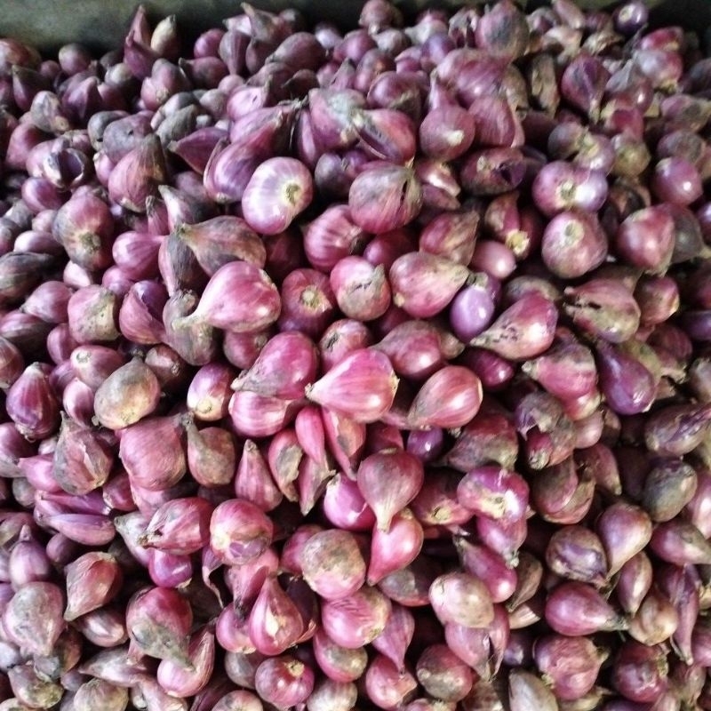 

Bawang Merah