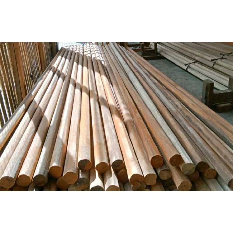Tangkai Dodos Panjang 3 Meter Kayu Daru daru