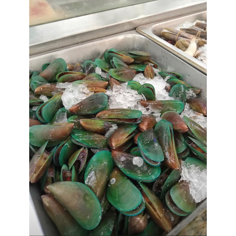 

KERANG HIJAU +-900gr MURAH