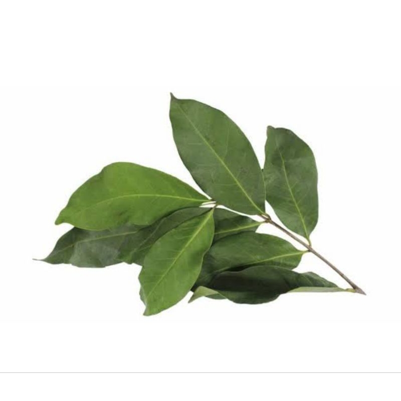 

Daun Salam untuk masak