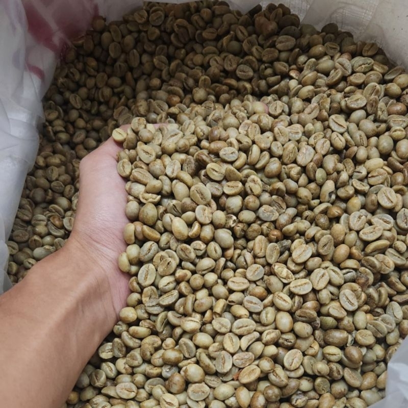 

BIJI KOPI ROBUSTA TEMANGGUNG (GREENBEAN) BIJI KOPI MENTAH ORIGINAL ( BELUM DISANGRAI ) GREENBEAN ASALAN 500Gram-1kg.