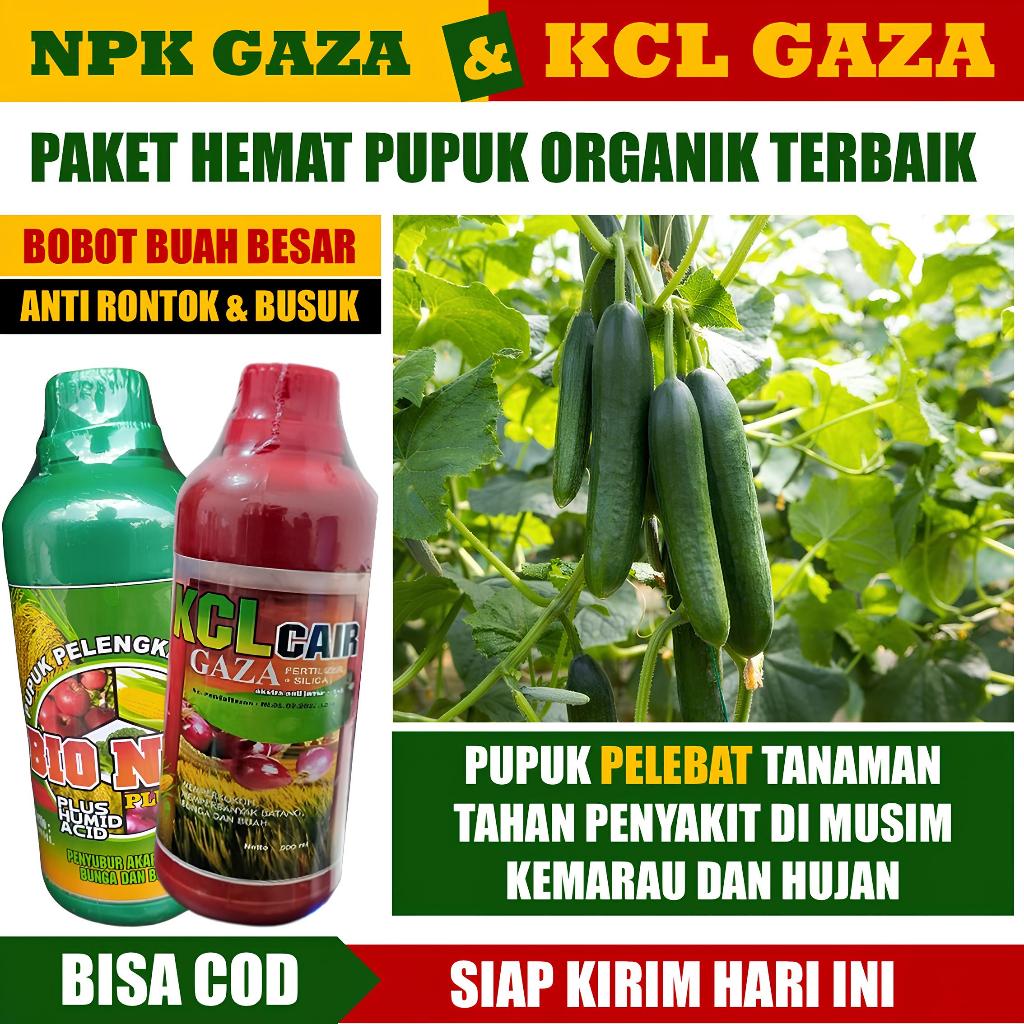 PAKET HEMAT Isi 2 BOTOL NPK GAZA & KCL GAZA Pupuk Cair Pelebat Buah Timun - Pupuk NPK Cair Dan Pupuk
