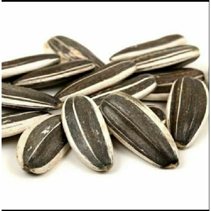 

promo murah meriah 200biji kuaci matahari