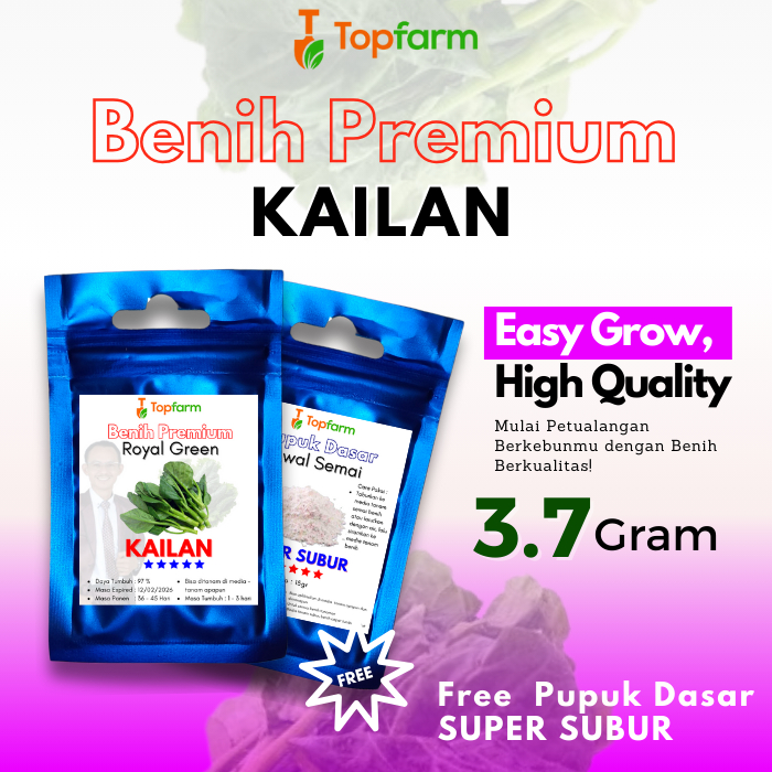 Benih Topfarm / Benih Sawi Kailan / Benih Sayur Kailan Super / Bibit Benih Sayur Kailan / Benih Sayu