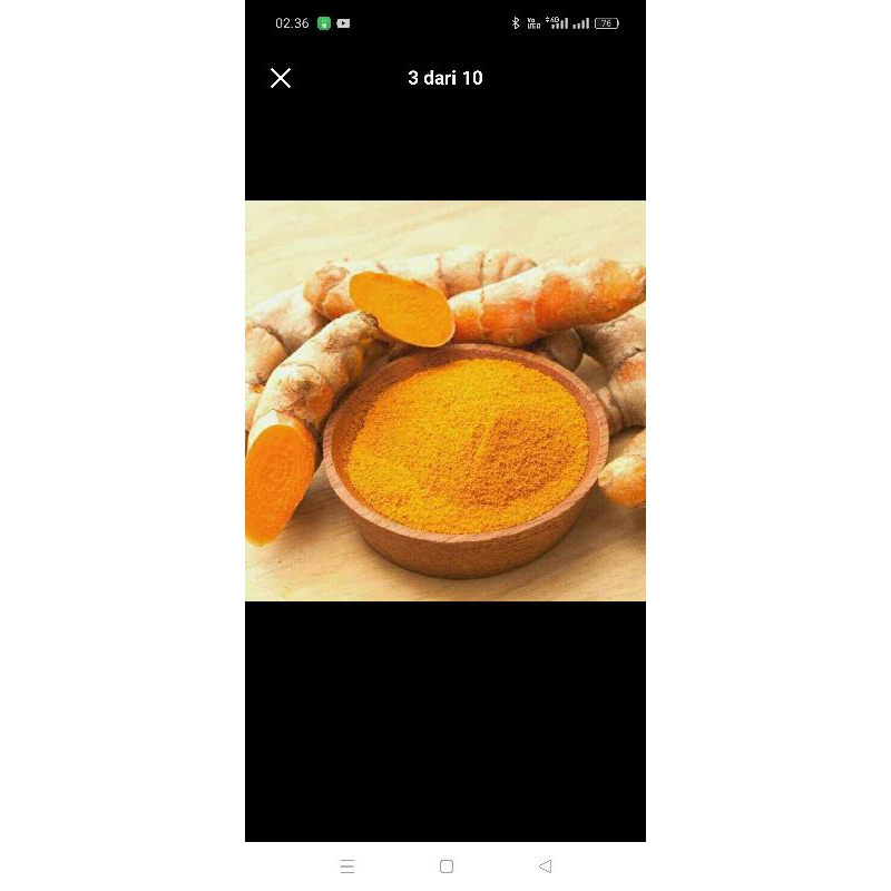 

kunyit jantan kuning kwalitas GP super big