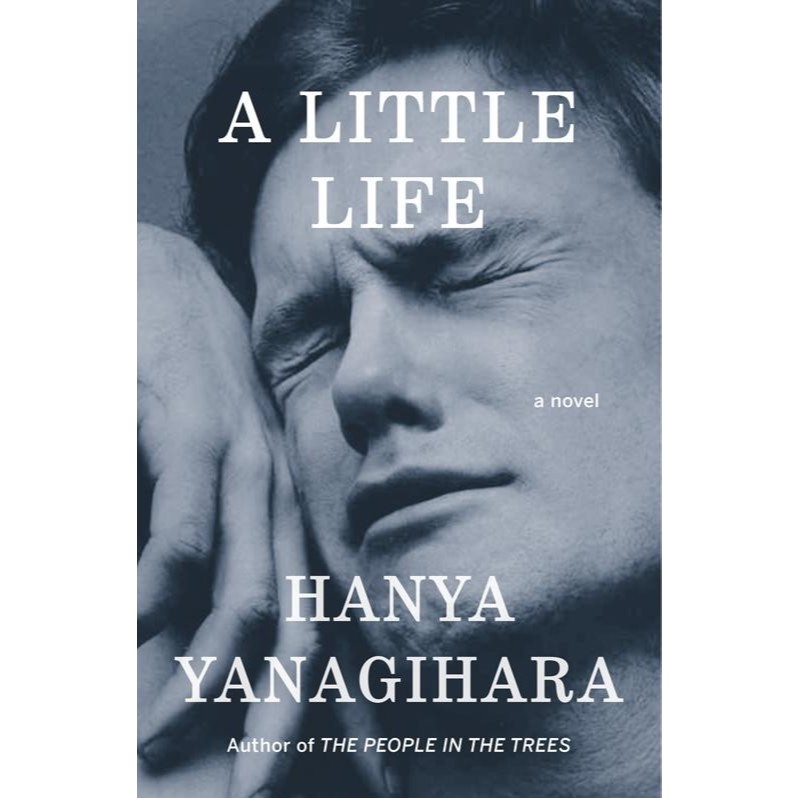A Little Life A Novel