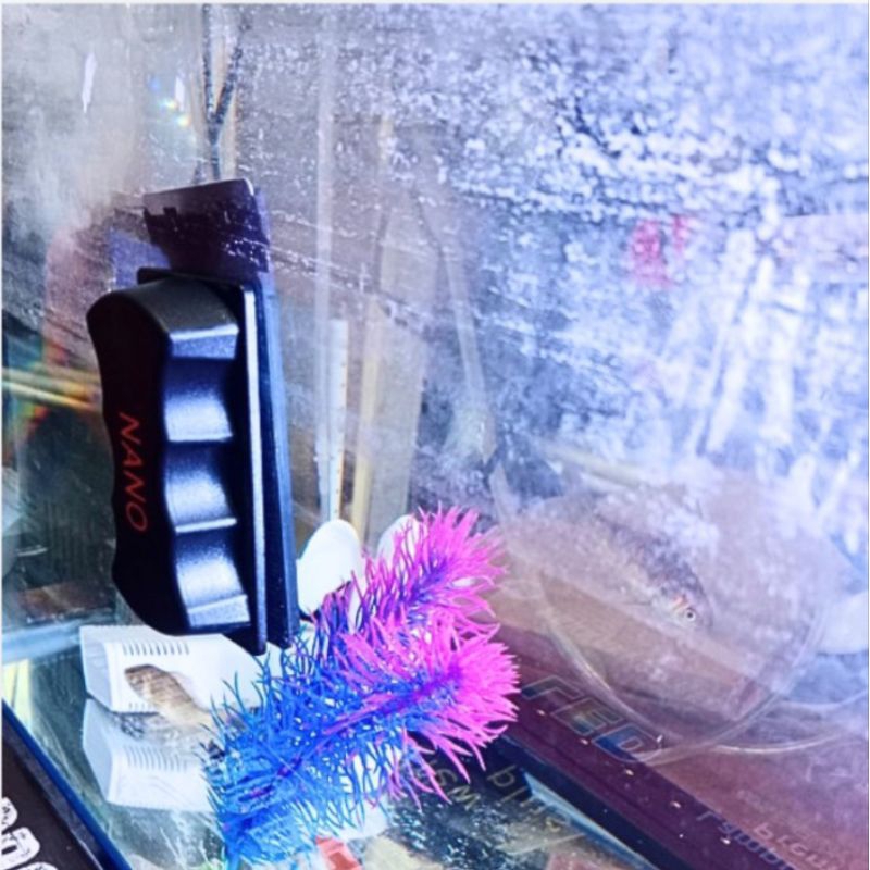 MAGNET KANDILA  NANO FLOAT SUPER MAGNET PEMBERSIH KACA KERAK AQUARIUM