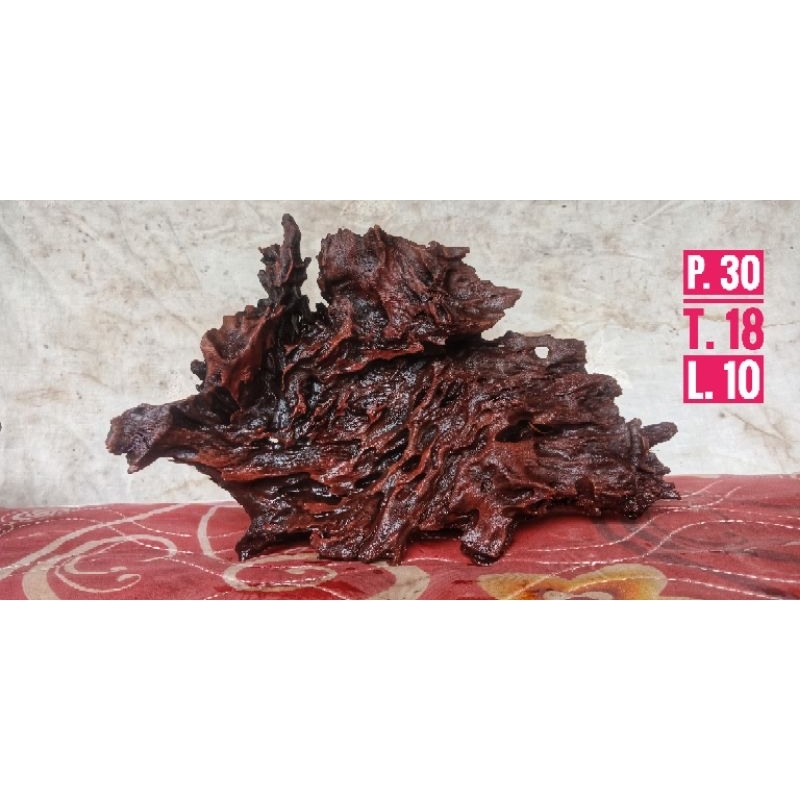 kayu Rentek Aquascape