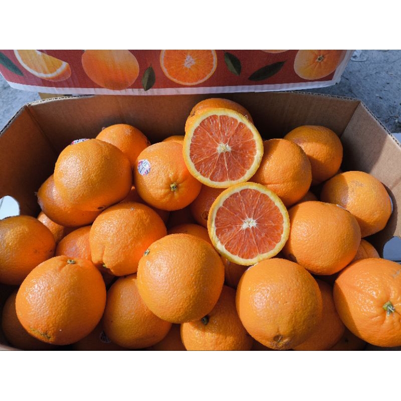 

Buah Sunkist Cara Cara Manis segar 1 kg