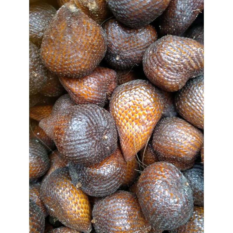 

Buah Salak