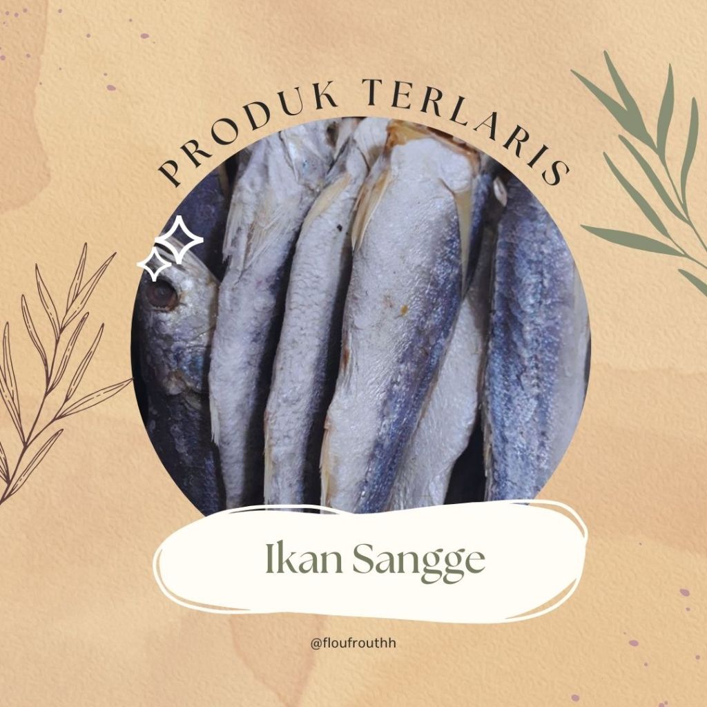 

Ikan Sangge 250 gram