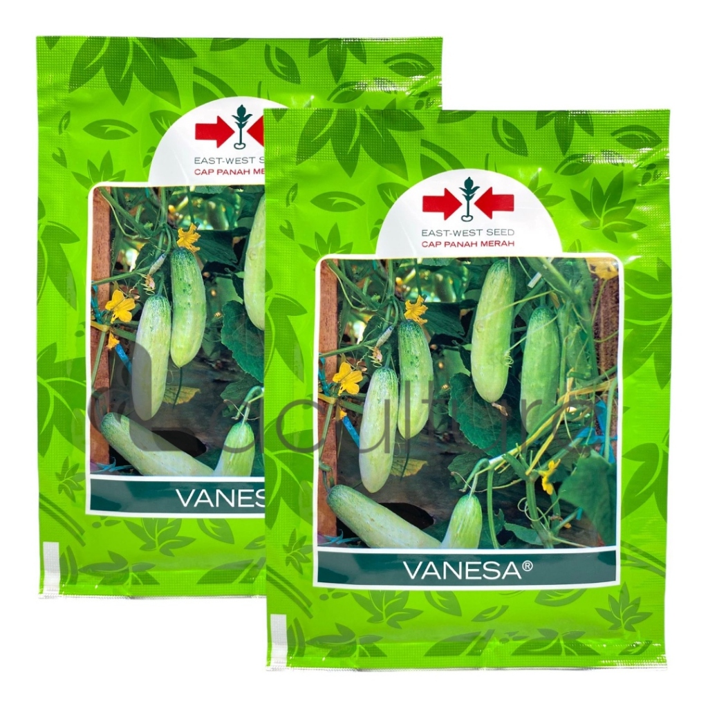 Benih Timun Mentimun VANESA Isi 20 gram Cap Panah Merah