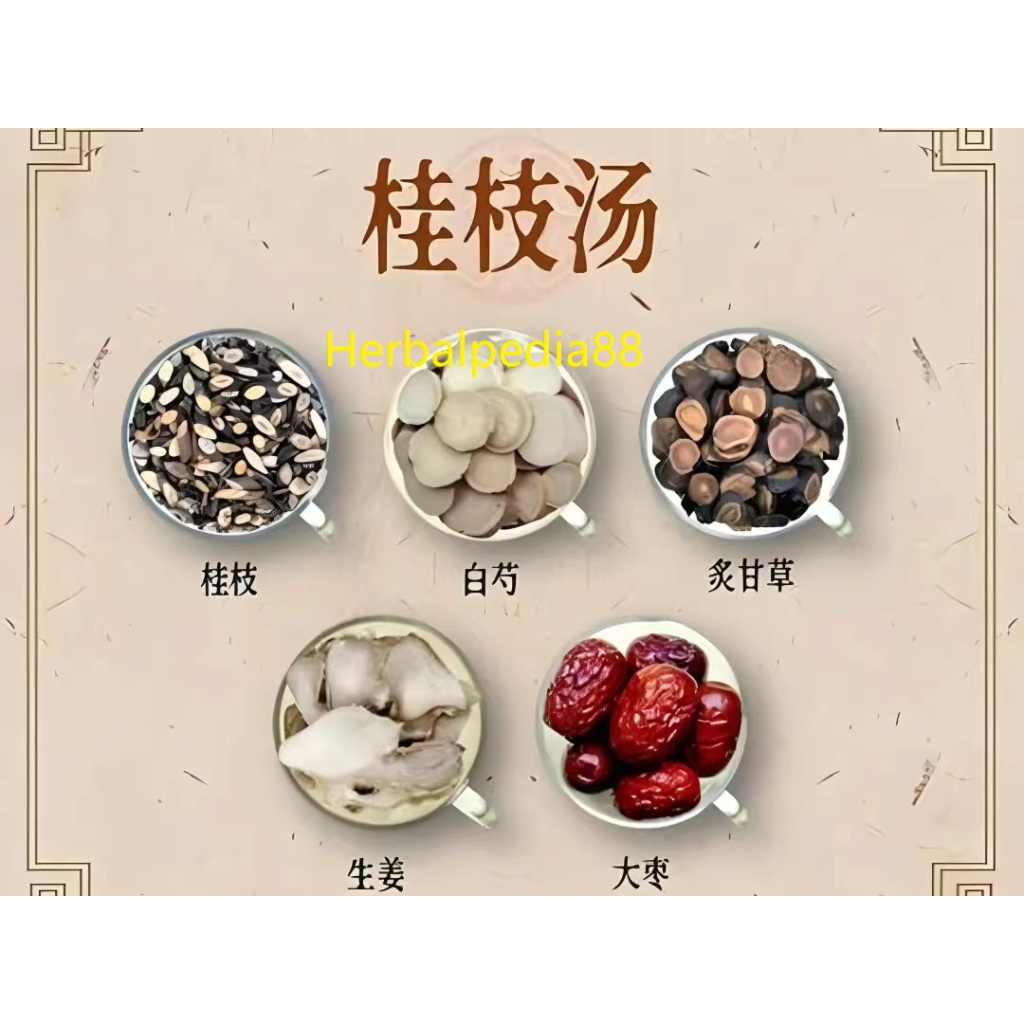 

Ramuan Gui Zhi Tang/桂枝汤