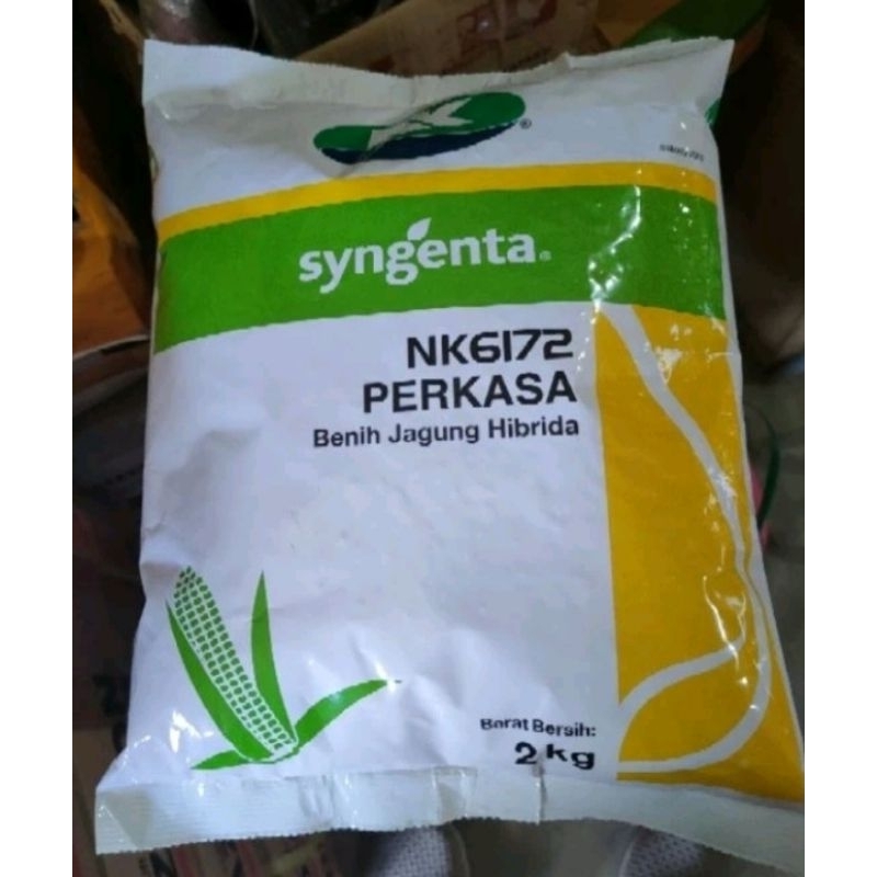 Benih bibit jagung NK 6172 PERKASA 2 kg ( 2 pack x @ 1kg )original