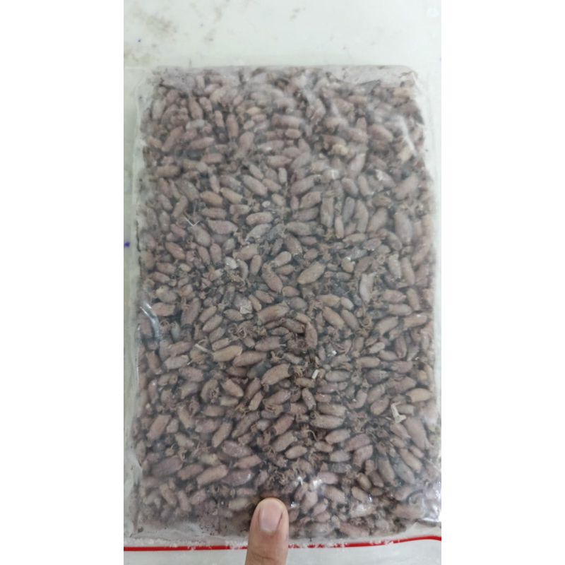 

Rich’s Shop (baby cumi premium)500gram