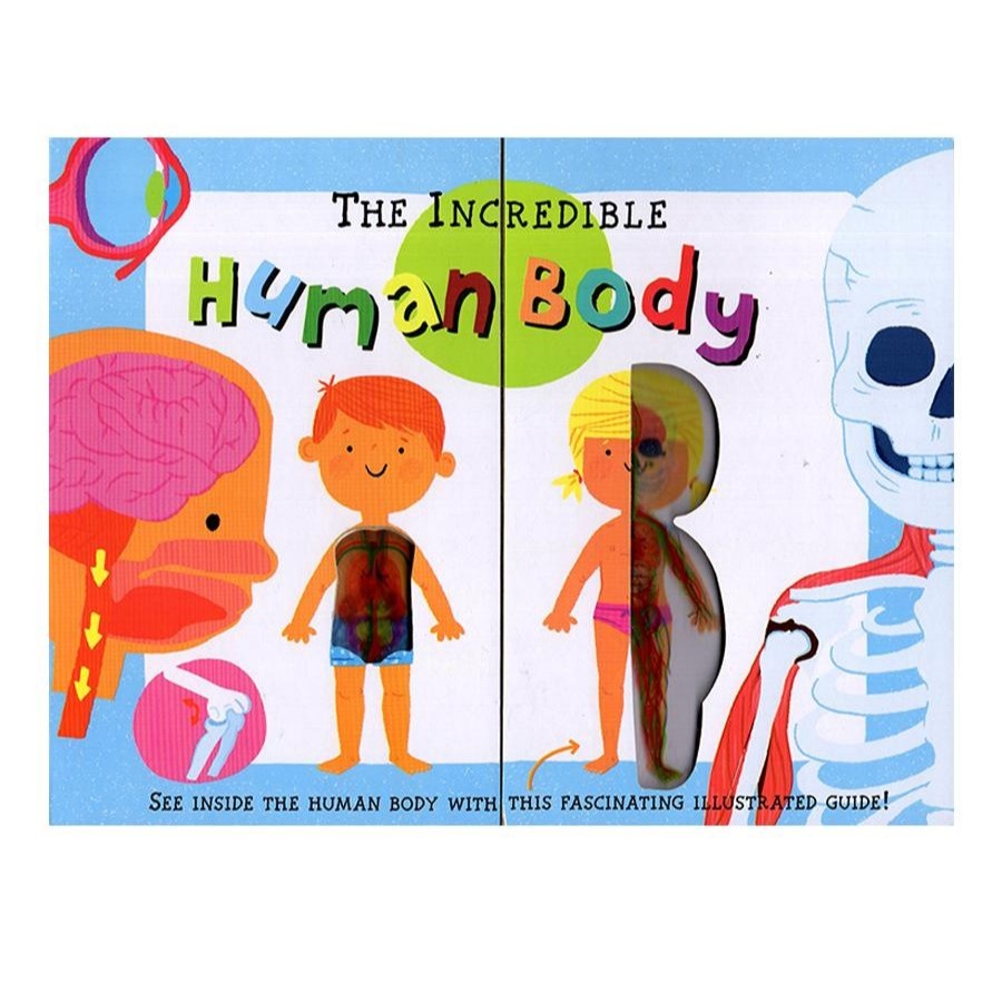 The Incredible Human Body