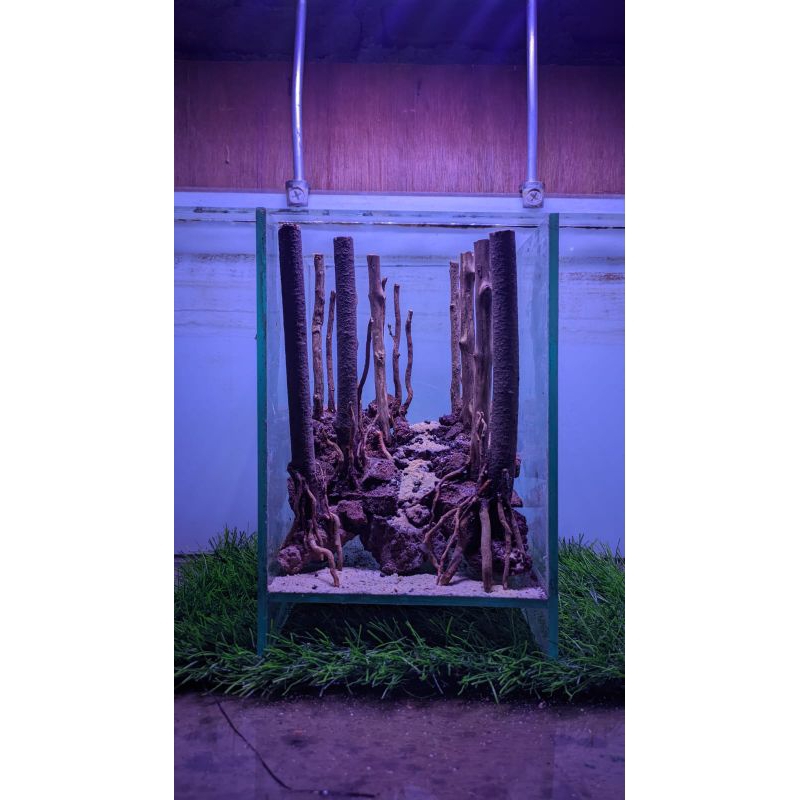 MINI JUNGLE AQUASCAPE TINGGAL MASUK TANK/FULLSET UKURAN 15*15*20