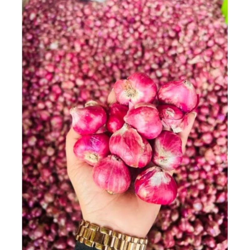

bawang merah pasar samarinda