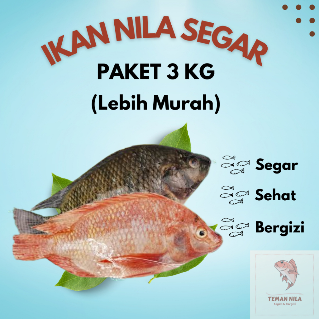 

PAKET 3 KG LEBIH MURAH IKAN NILA SEGAR SUDAH DIBERSIHKAN / FRESH BUKAN FROZEN