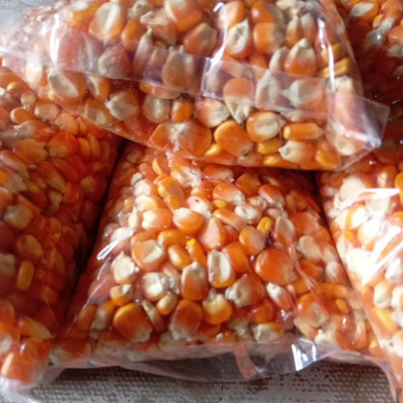 

jagung pipil 1000grm