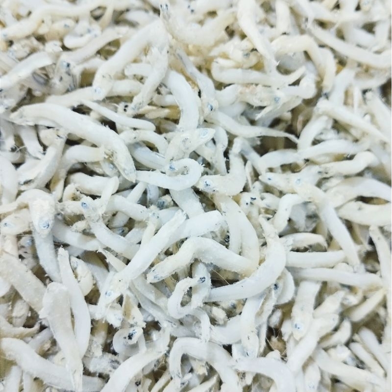 

Teri Medan, Teri buntio, Teri batu mulai 5ribu