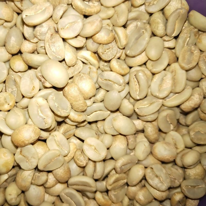 

BIJI KOPI ARABICA/GREENBEAN ARABICA HONEY EXCEL PREMIUM SPECIALTY